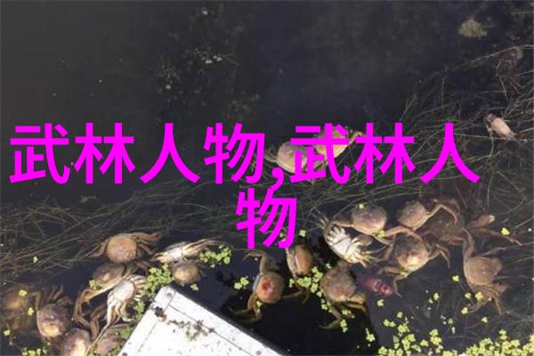 超级散打王柳海龙发感恩宣言
