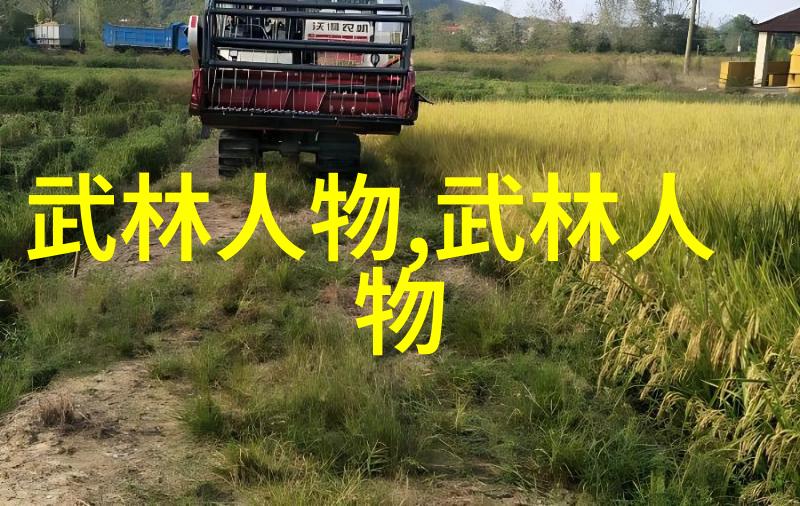 高中生获双节棍世界冠军 练习到参赛不满10月