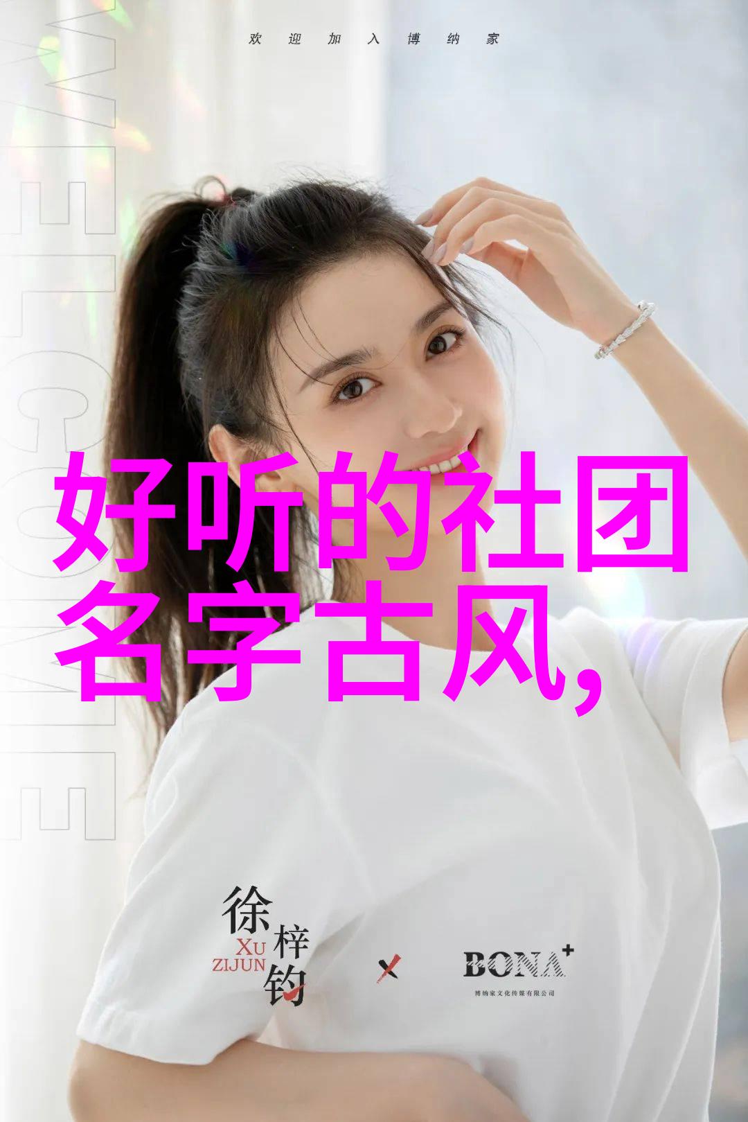 门派拳种戳脚翻子拳