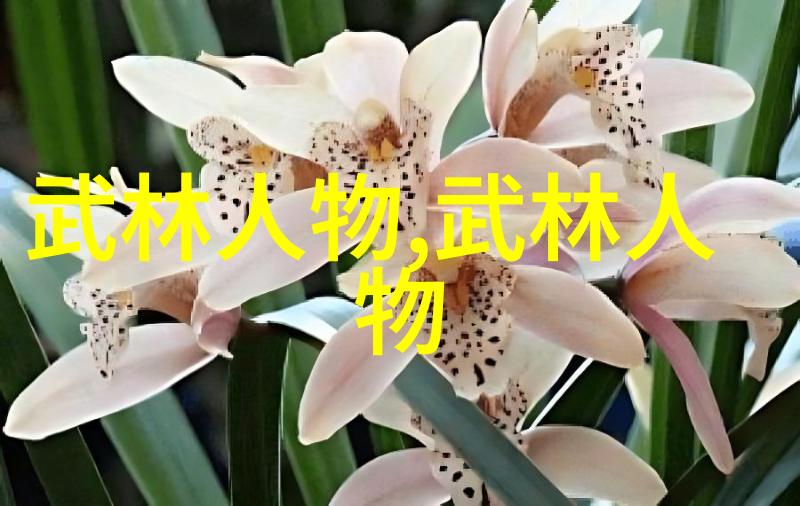 青城派武术俩世纪长寿武者相聚一堂图文