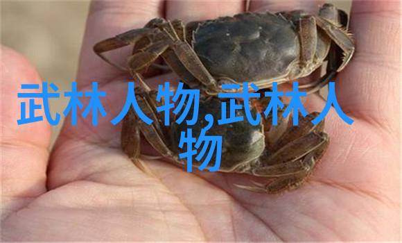 绝世功夫栲子拳传人现身 愿献出武功秘籍做贡献图文