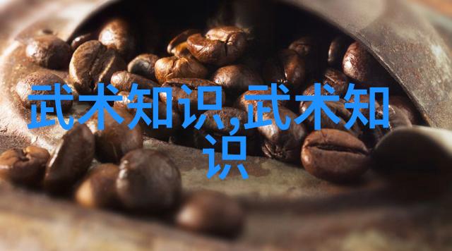 薛军武术的真谛在于重德-赵丛君