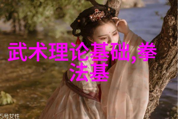 论拳式定型