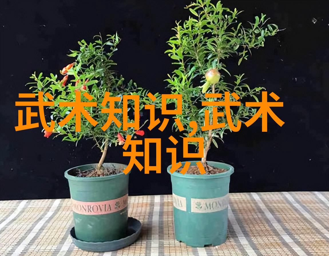 真正的中华武术-裘建华