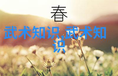 父母与孩子谁伤了谁的心以武术教育为例-阚一工