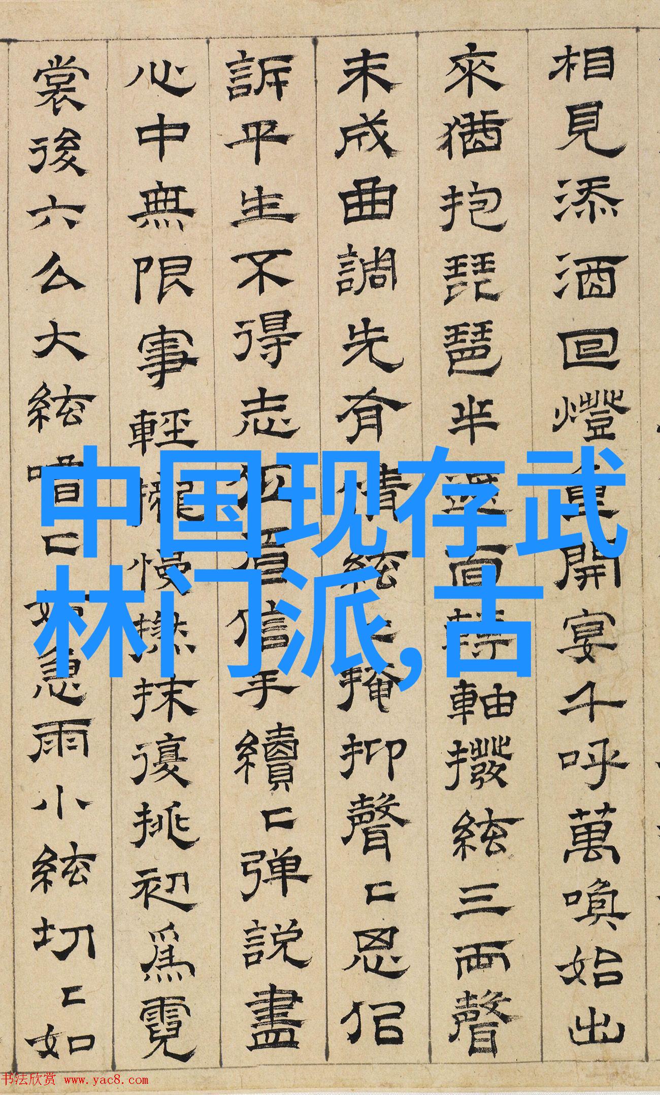门派拳种梅花拳