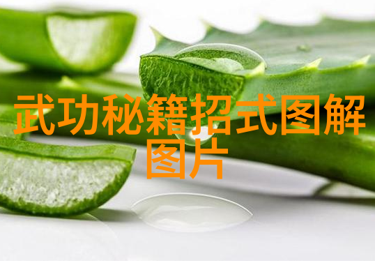 铁腿功