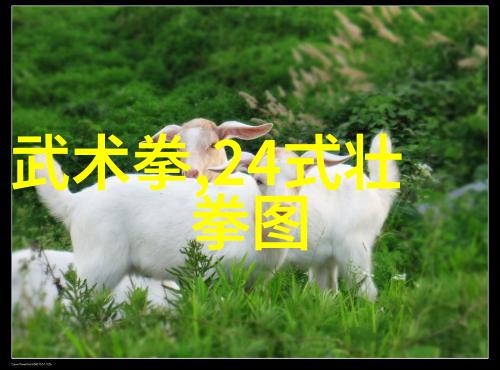 道教养生术与太极拳