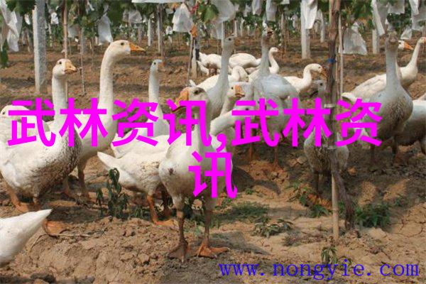 丰收季节 喜结硕果精武莘庄基地举办段位制晋级赛