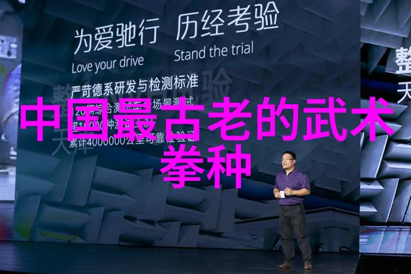 降龙十八掌铁掌功搏杀篇