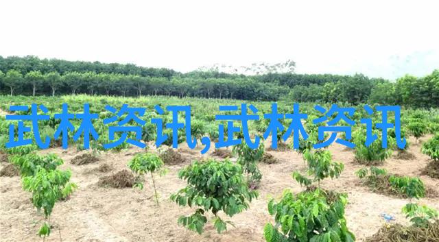 东辽河畔赛拳剑龙首山下争高低 东丰选手再创佳绩