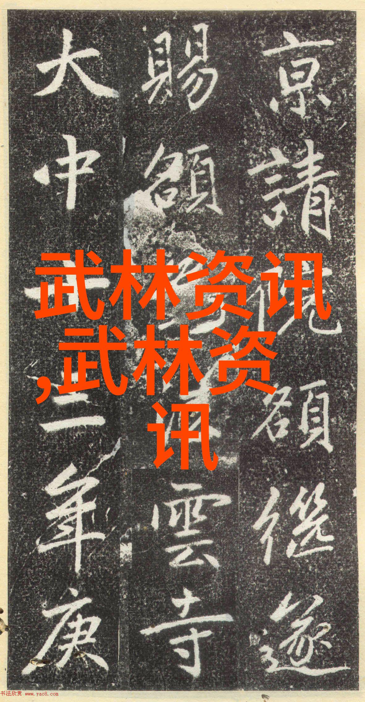 内蒙古自治区34十三运34武术散打获佳绩