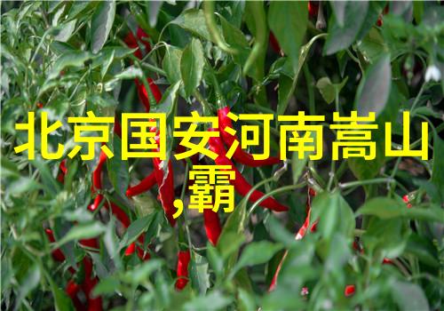门派拳种济南燕青拳