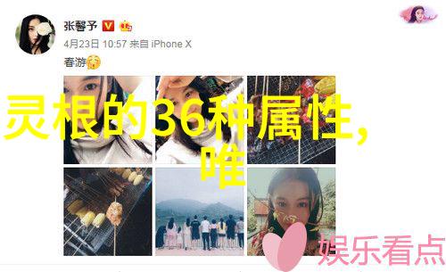 门派拳种少林洪门武功