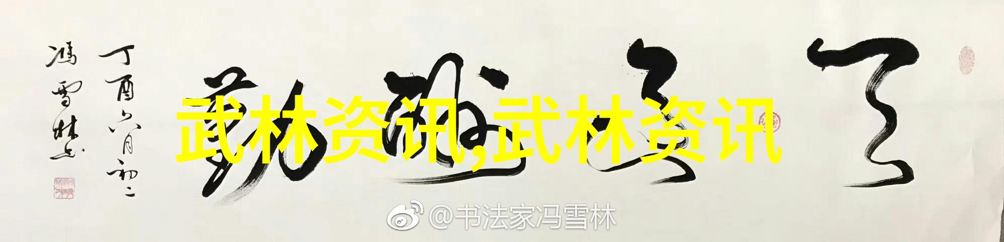 6月25日魂源太极王会长和孟教练应巴尔的摩外企邀请教授其公司高层太极拳活动