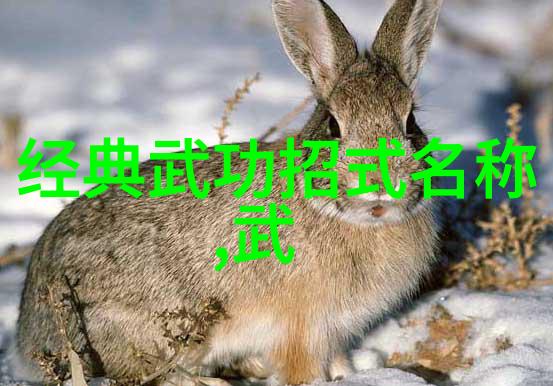 神功意手