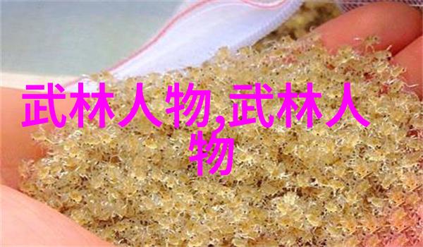 陕西武术人高文